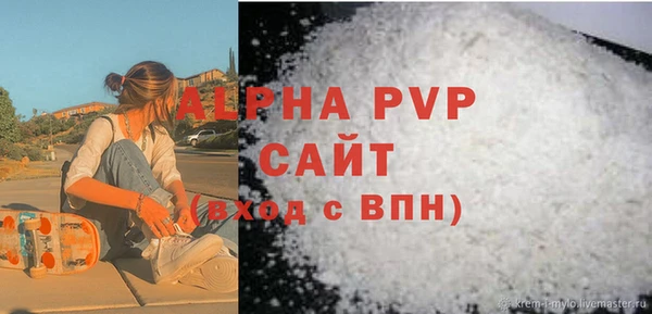 apvp Кирсанов