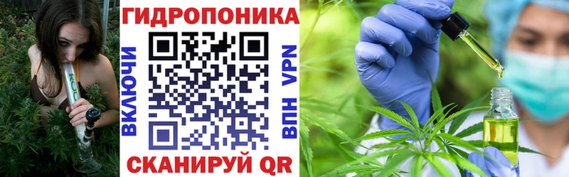 Каннабис White Widow Онега